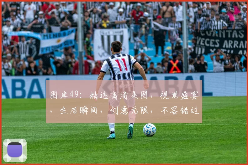 图库49：精选高清美图，视觉盛宴，生活瞬间，创意无限，不容错过，尽在掌握