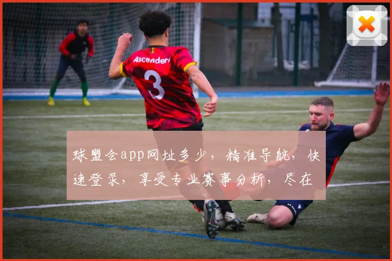 球盟会app网址多少，精准导航，快速登录，享受专业赛事分析，尽在掌握