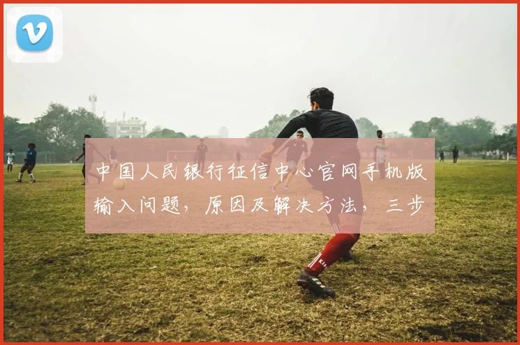 中国人民银行征信中心官网手机版输入问题，原因及解决方法，三步轻松解决，必看